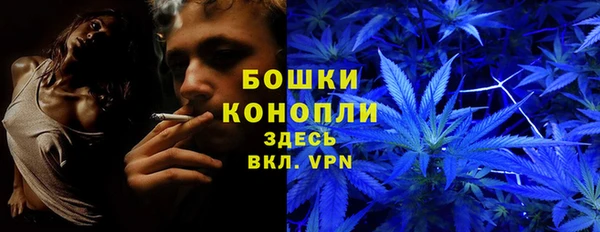 мяу мяу мука Бугульма
