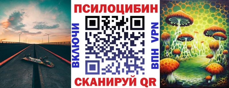 Псилоцибиновые грибы Psilocybe  Калининград 